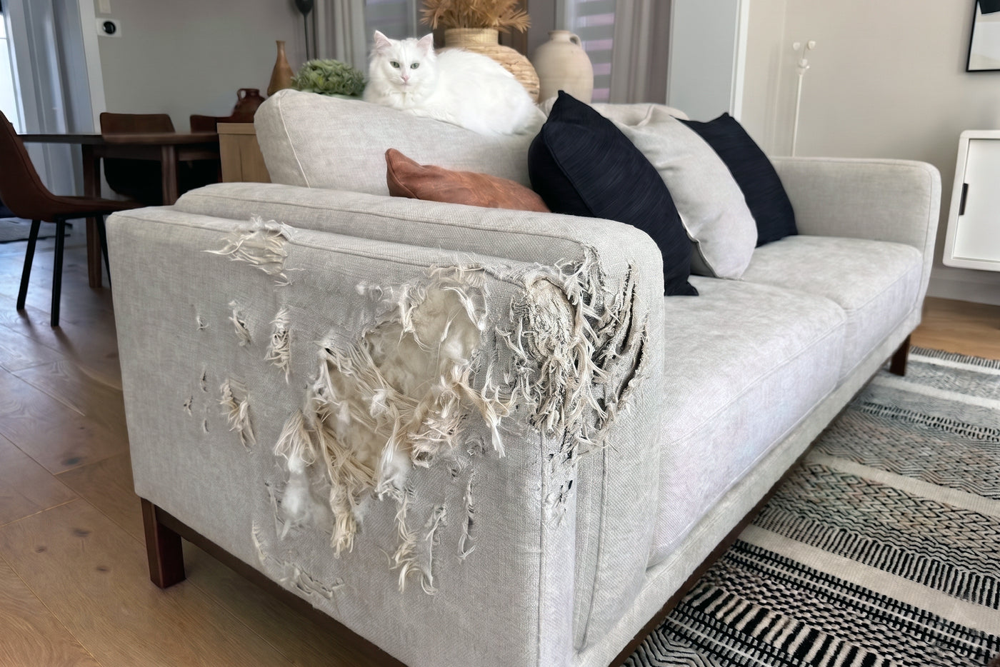 <h2>Scratch-Proof Your Couch Today!</h2>