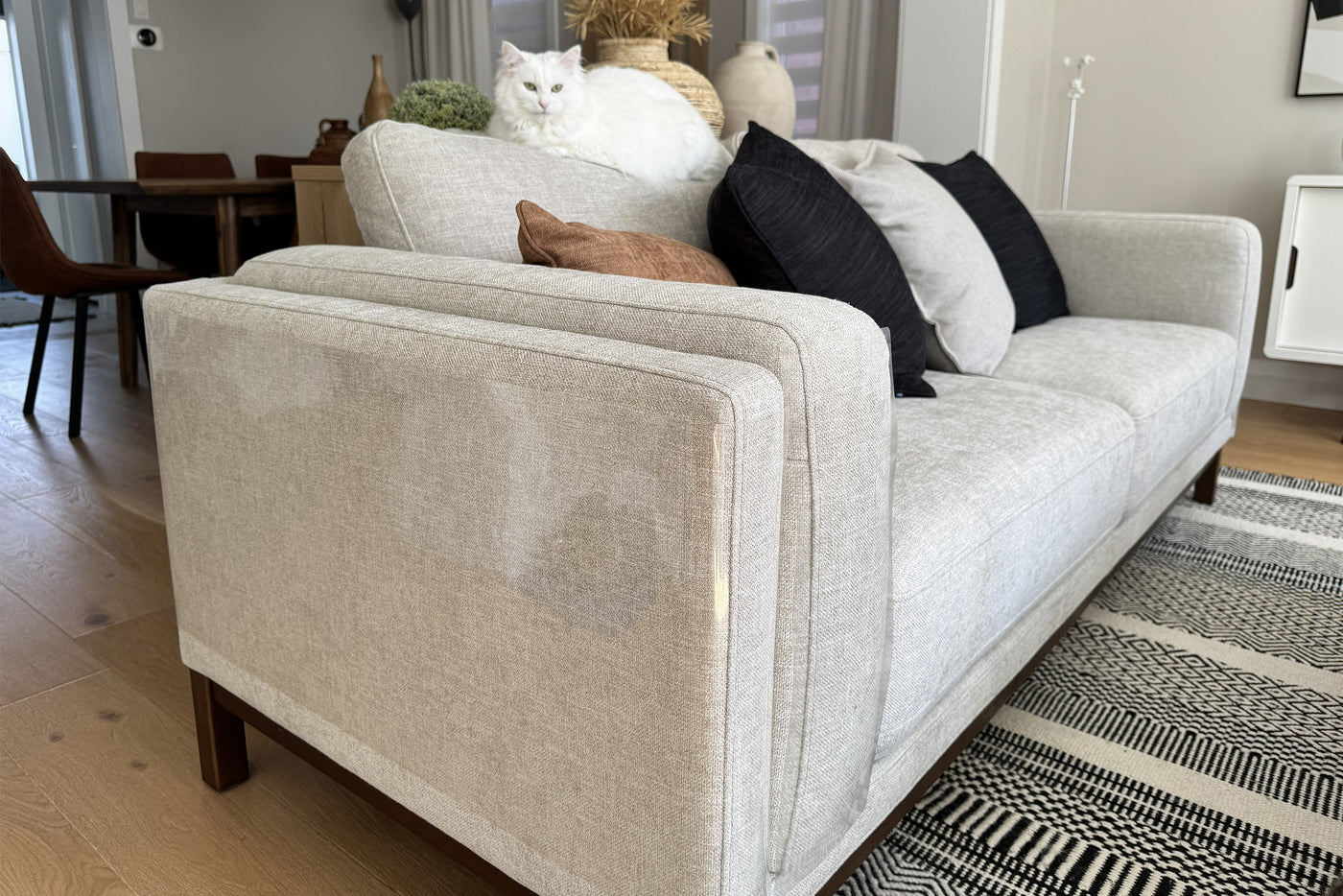 <h2>Scratch-Proof Your Couch Today!</h2>