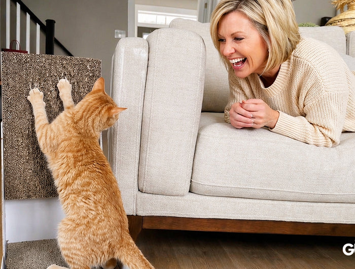 <h3>"I never thought training my cat could be this easy. Sleek Guards had her going straight to her scratcher and she never looked back at the couch." </h3><h6>Sarah M.</h6>